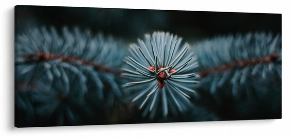 Tablou -Crenguțe ale unui conifer (120x50 cm)