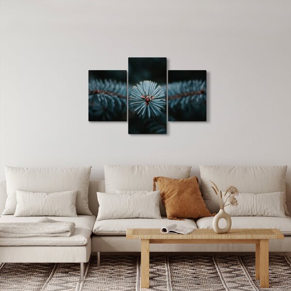 Tablou -Crenguțe ale unui conifer (90x60 cm)