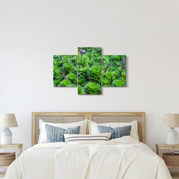 Tablou - Aloe (90x60 cm)