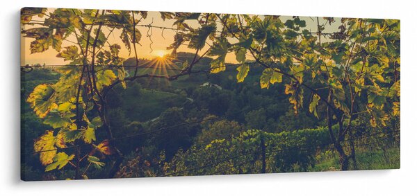 Tablou - Podgorii (120x50 cm)