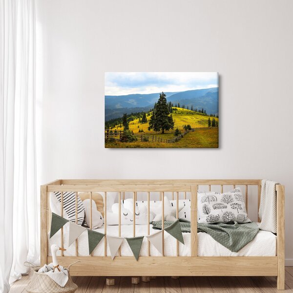 Tablou - Lunca de munte (90x60 cm)