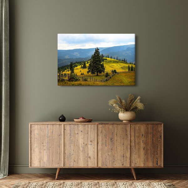 Tablou - Lunca de munte (90x60 cm)