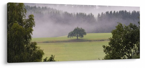 Tablou - Lunca cu copac (120x50 cm)
