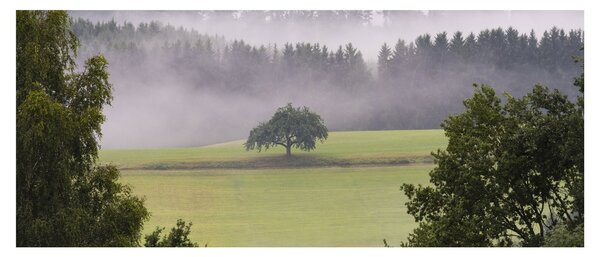 Tablou - Lunca cu copac (120x50 cm)