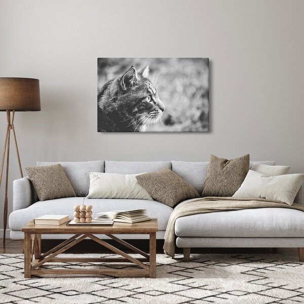 Tablou - Pisica (90x60 cm)