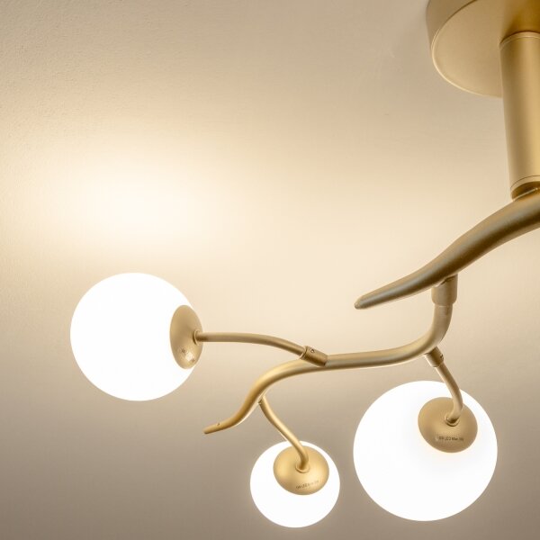 Lustră LED aplicată Brilagi MISTEL 6xG9/3W/230V auriu/alb