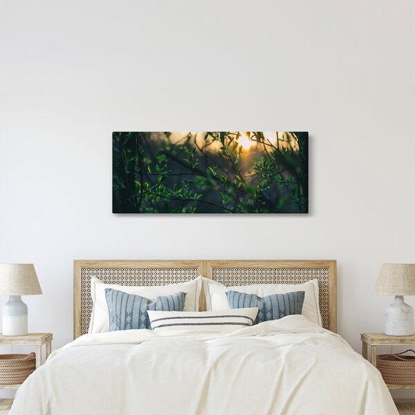 Tablou - Soarele strălucind printre crengile copacilor (120x50 cm)