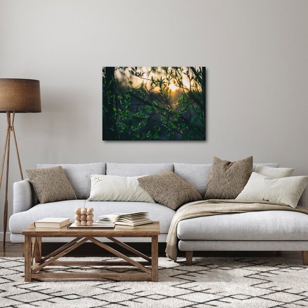 Tablou - Soarele strălucind printre crengile copacilor (70x50 cm)