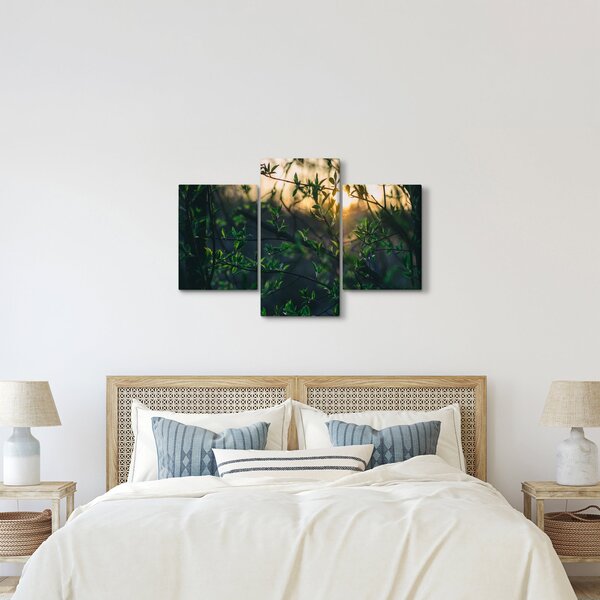 Tablou - Soarele strălucind printre crengile copacilor (90x60 cm)