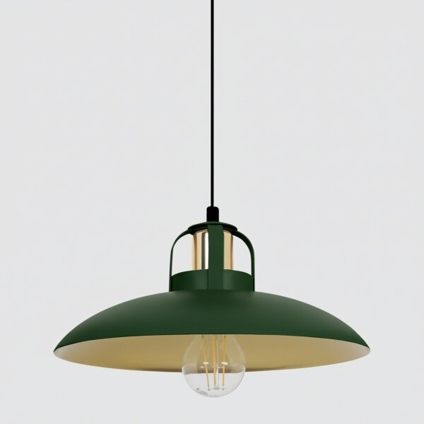 Lustră pe cablu BRILAGI FLAMENGO 1xE27/60W/230V verde