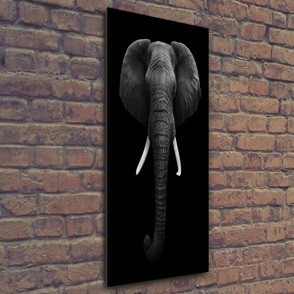 Imagine de sticlă elefant african