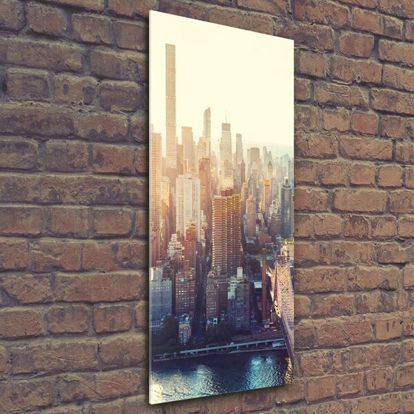 Tablou Printat Pe Sticlă New York pasăre de zbor