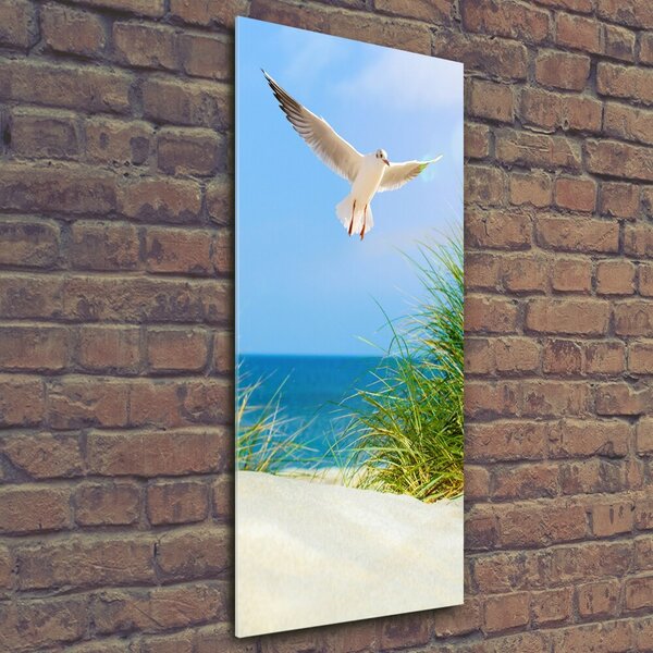 Tablou pe pe sticlă Seagull peste dune