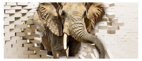 Tablou - Elefant spârgând peretele (120x50 cm)