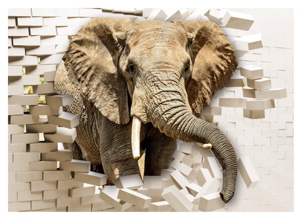 Tablou - Elefant spârgând peretele (70x50 cm)