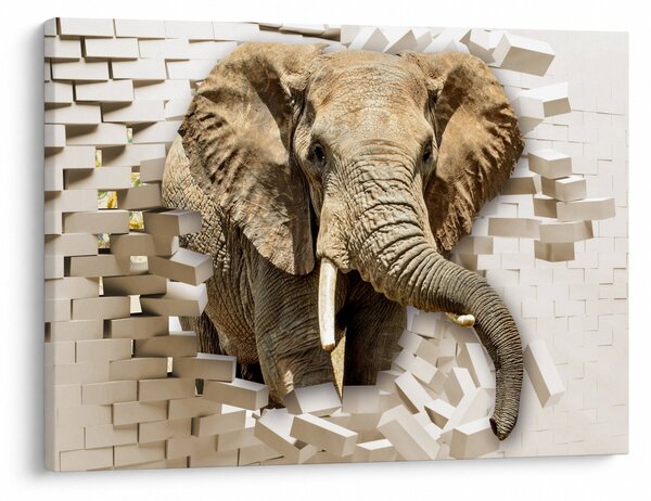 Tablou - Elefant spârgând peretele (70x50 cm)