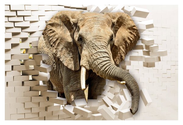 Tablou - Elefant spârgând peretele (90x60 cm)