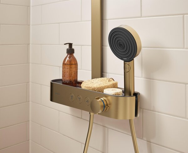 Hansgrohe Pulsify Select S duș de mână maro 24110140