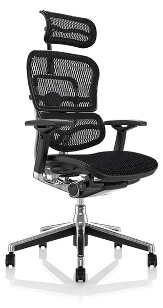 Scaun de birou - ERGOHUMAN2 PDH ULTRA BLACK FRAME W09-01+ALU BASE - precomanda 7-12 zile