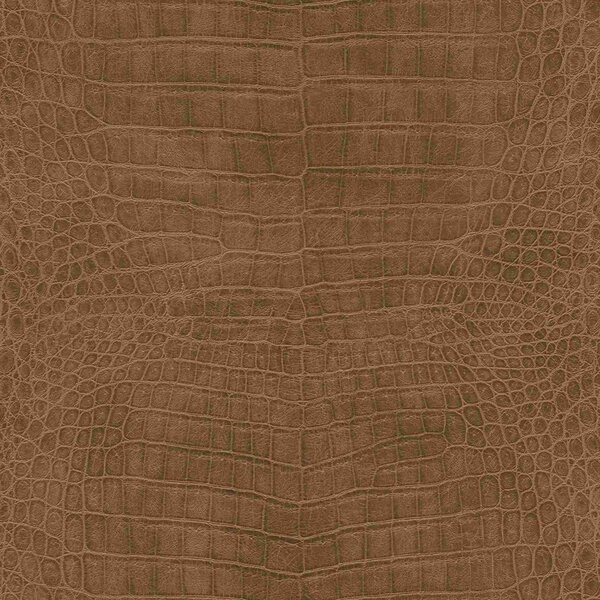 Tapet vlies de perete rasch african queen 751314