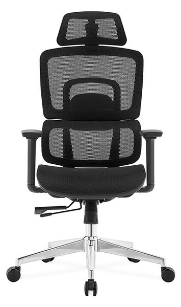 Ergodynamic Gary H - Scaun de birou - Full mesh - black, translatie sezut, brate 3D
