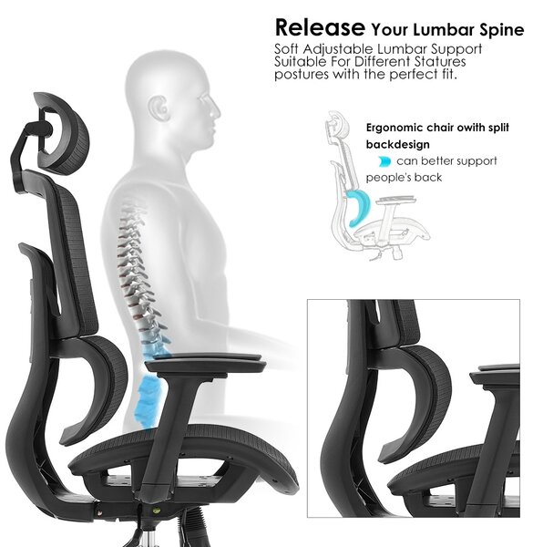 Ergodynamic Gary H - Scaun de birou - Full mesh - black, translatie sezut, brate 3D