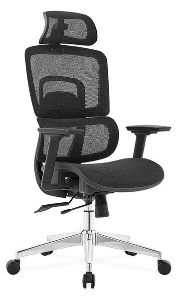 Ergodynamic Gary H - Scaun de birou - Full mesh - black, translatie sezut, brate 3D