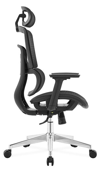 Ergodynamic Gary H - Scaun de birou - Full mesh - black, translatie sezut, brate 3D