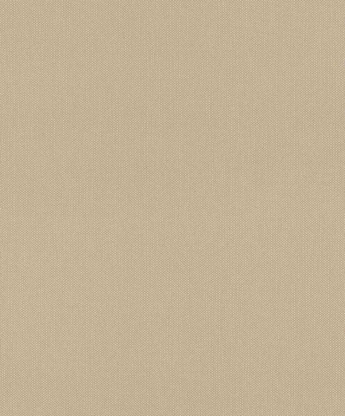 Tapet vlies de perete rasch deco style 312416