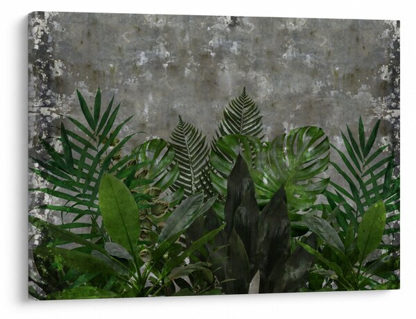 Tablou - Zid de beton cu plante (70x50 cm)