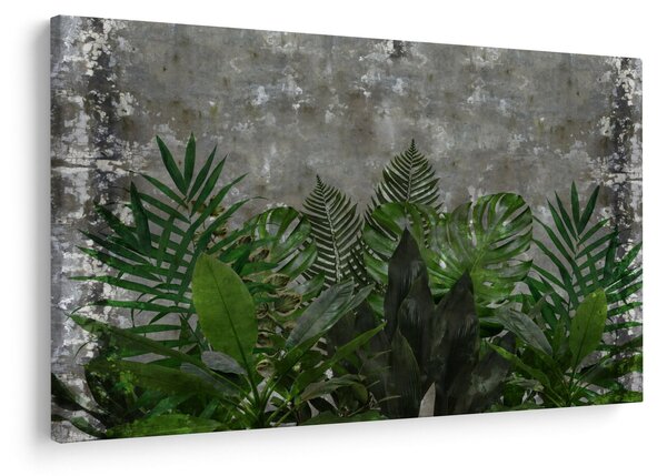 Tablou - Zid de beton cu plante (90x60 cm)