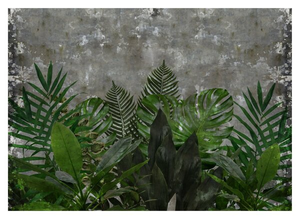 Tablou - Zid de beton cu plante (70x50 cm)