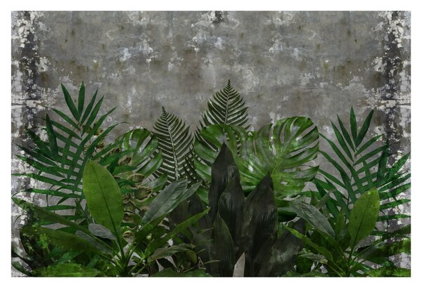 Tablou - Zid de beton cu plante (90x60 cm)