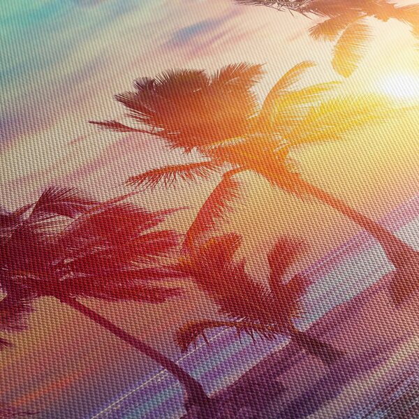 Tablou - Apus de soare tropical (70x50 cm)