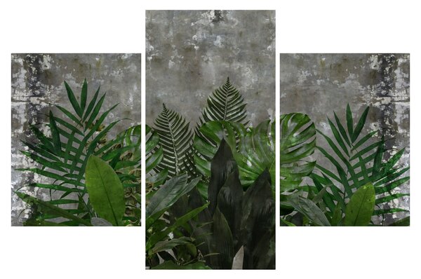 Tablou - Zid de beton cu plante (90x60 cm)