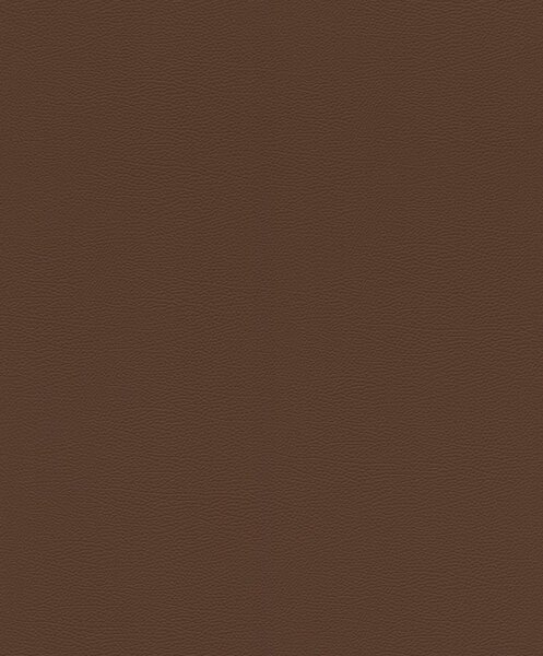 Tapet vlies de perete rasch african queen 752663