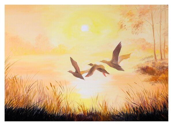 Tablou - Macarale la apus de soare (70x50 cm)
