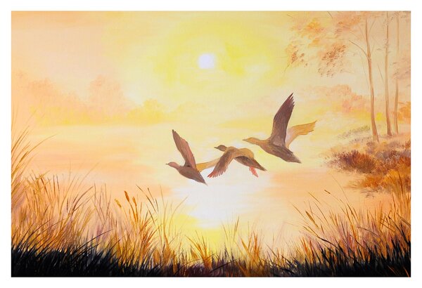 Tablou - Macarale la apus de soare (90x60 cm)