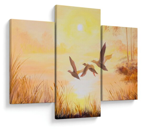 Tablou - Macarale la apus de soare (90x60 cm)
