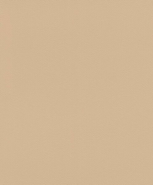 Tapet vlies de perete rasch african queen 752694