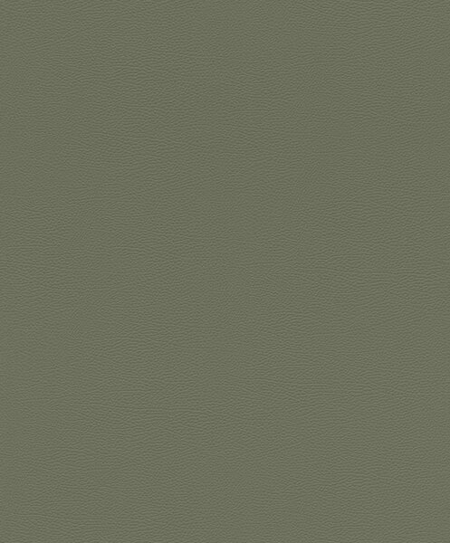 Tapet vlies de perete rasch african queen 752687