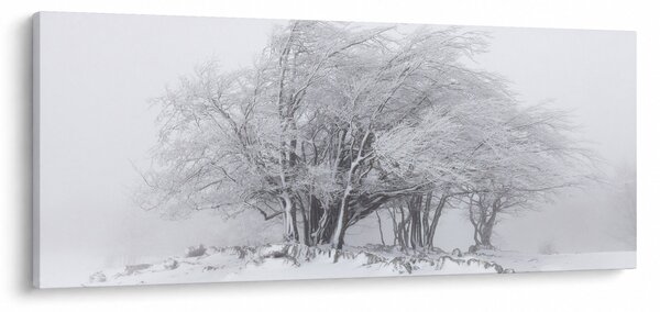 Tablou - Iarnă albă (120x50 cm)