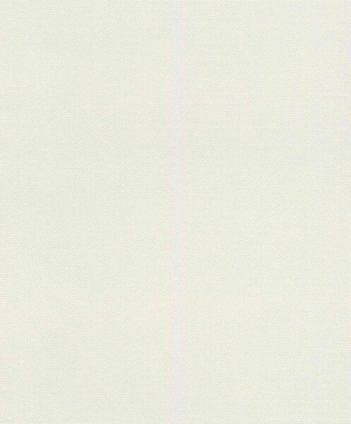 Tapet vlies de perete rasch deco style 312324
