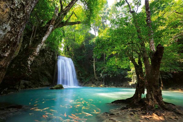 Fototapetă vlies cascada înaltă 375 x 250 cm