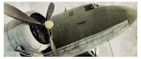Tablou - Avion vechi cu elice (120x50 cm)