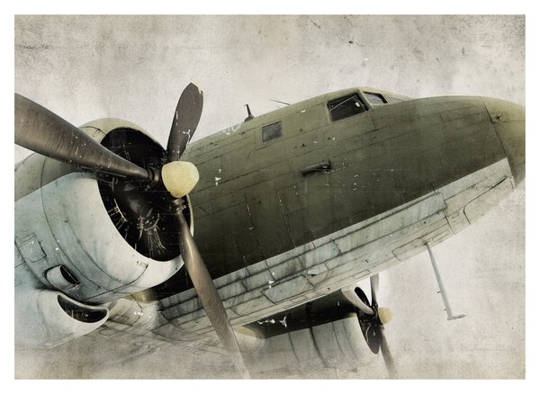 Tablou - Avion vechi cu elice (70x50 cm)