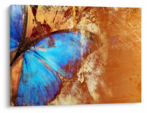 Tablou - Fluture albastru (70x50 cm)