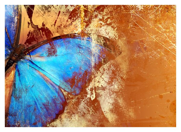 Tablou - Fluture albastru (70x50 cm)