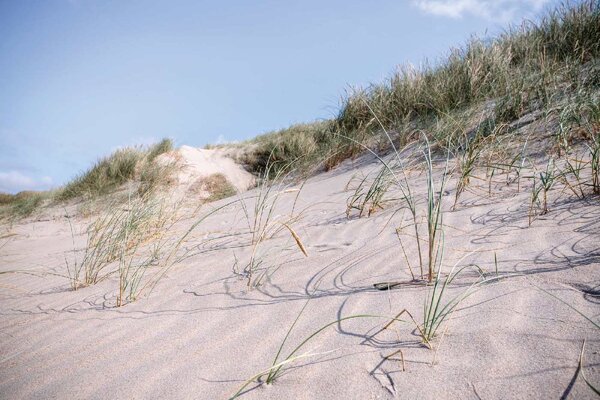Fototapetă vlies dune de nisip 375 x 250 cm