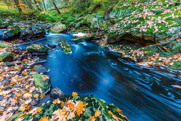 Fototapetă vlies pârâuri de toamnă 375 x 250 cm